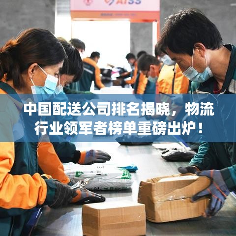 中国配送公司排名揭晓，物流行业领军者榜单重磅出炉！