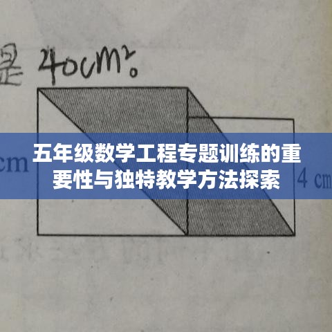 五年级数学工程专题训练的重要性与独特教学方法探索