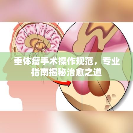 2025年5月27日 第3页