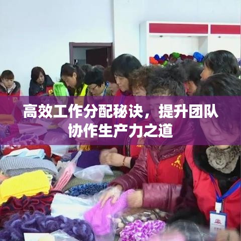 高效工作分配秘诀，提升团队协作生产力之道