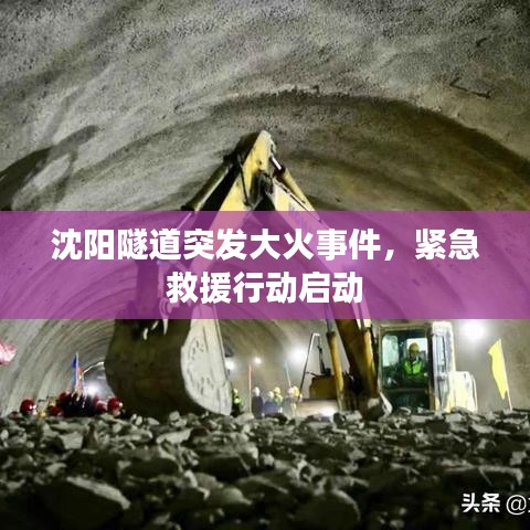 2025年5月28日 第4页