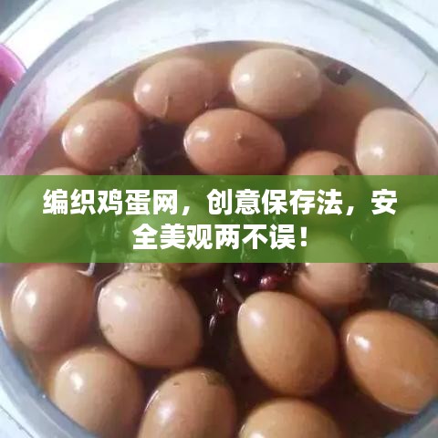 编织鸡蛋网，创意保存法，安全美观两不误！