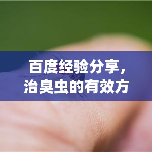 百度经验分享，治臭虫的有效方法与技巧