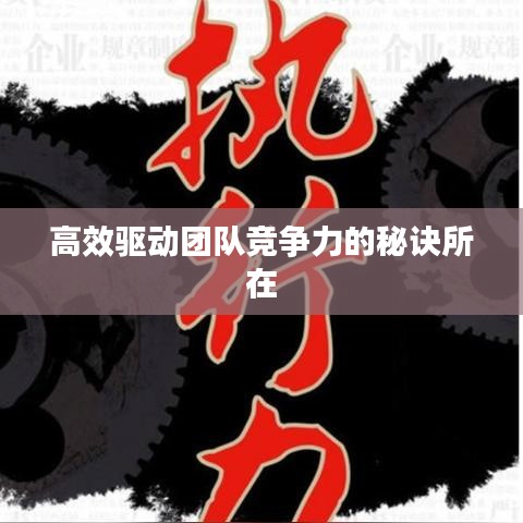 高效驱动团队竞争力的秘诀所在
