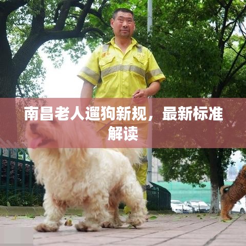 南昌老人遛狗新规，最新标准解读