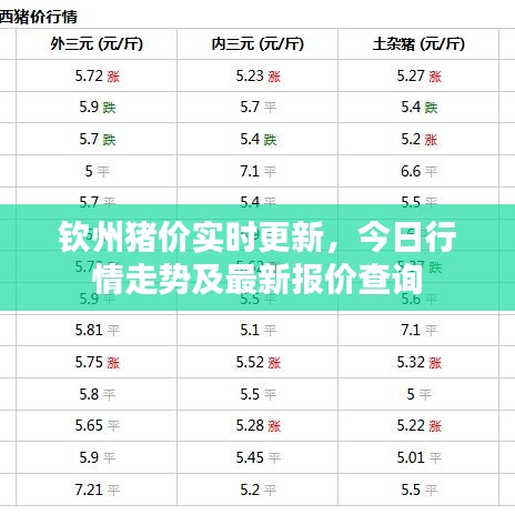 钦州猪价实时更新，今日行情走势及最新报价查询