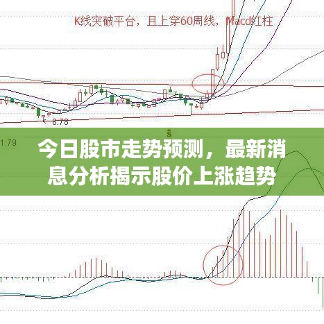 2025年5月30日 第2页