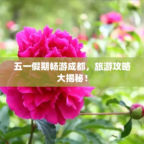 2025年5月30日