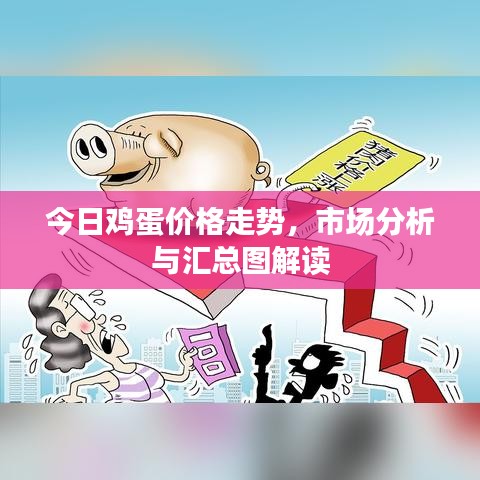 今日鸡蛋价格走势，市场分析与汇总图解读