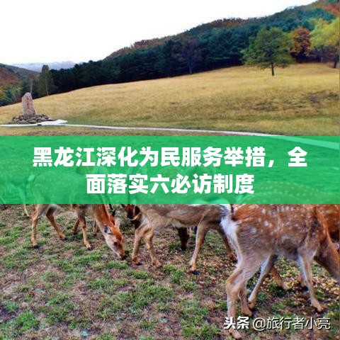 2025年6月1日 第5页