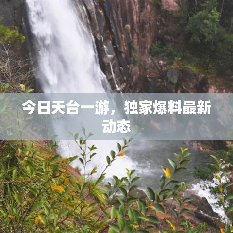今日天台一游，独家爆料最新动态