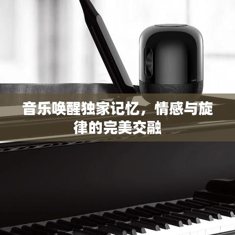 音乐唤醒独家记忆，情感与旋律的完美交融