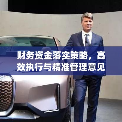 财务资金落实策略，高效执行与精准管理意见揭秘