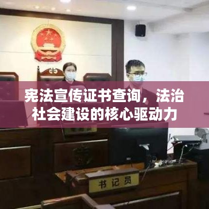 宪法宣传证书查询，法治社会建设的核心驱动力