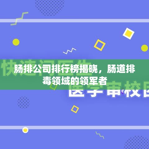 肠排公司排行榜揭晓，肠道排毒领域的领军者