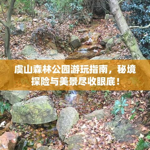 虞山森林公园游玩指南，秘境探险与美景尽收眼底！