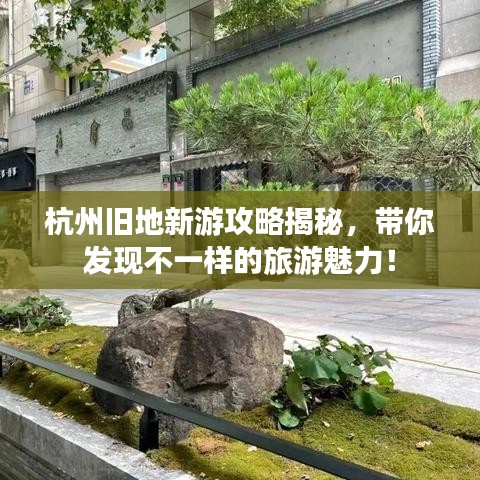 杭州旧地新游攻略揭秘，带你发现不一样的旅游魅力！