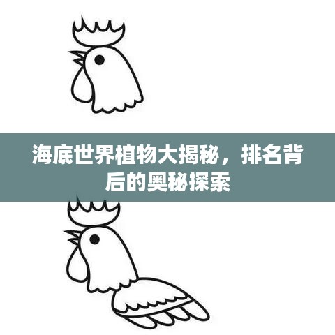 海底世界植物大揭秘，排名背后的奥秘探索