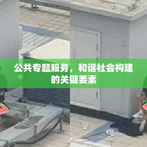 公共专题服务，和谐社会构建的关键要素