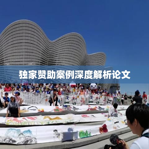 独家赞助案例深度解析论文