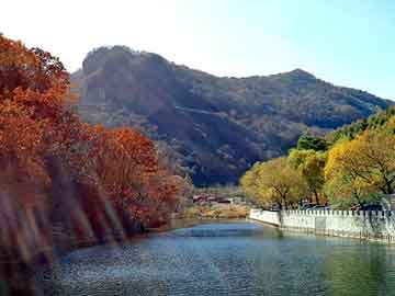 黄山寿险公司排名揭秘，市场影响力深度解析