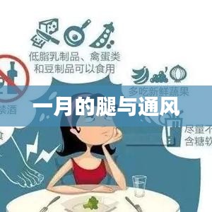 一月腿部健康与通风知识科普