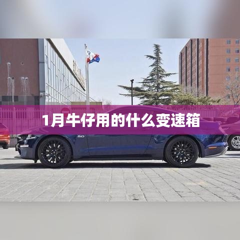 牛仔一月使用变速箱类型揭晓