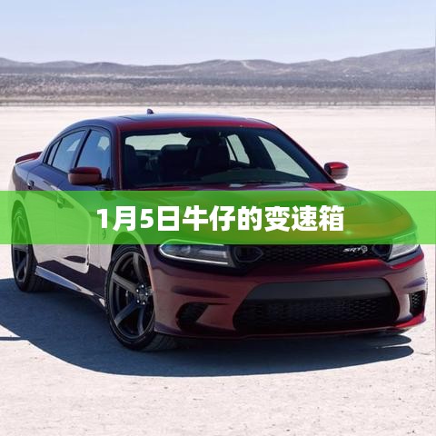 第1166页