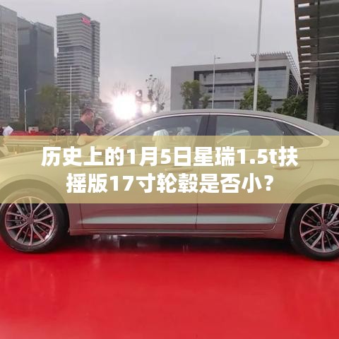百鸟齐鸣 第3页