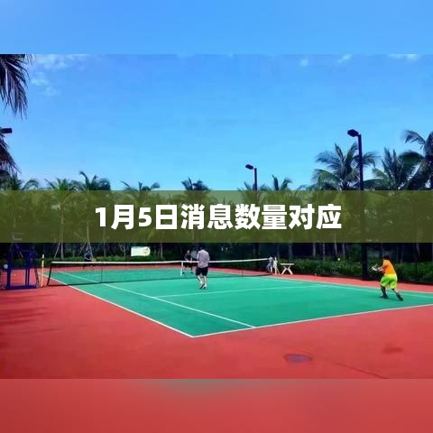 1月5日消息数量概览