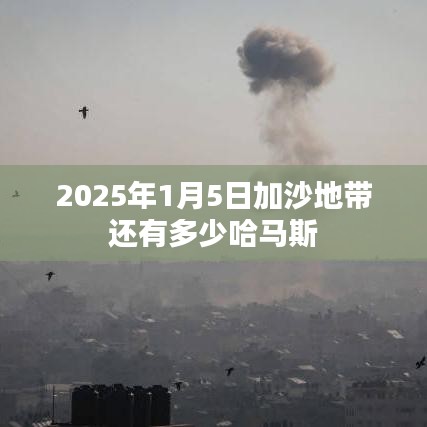 加沙地带哈马斯组织人数预测 2025年分析