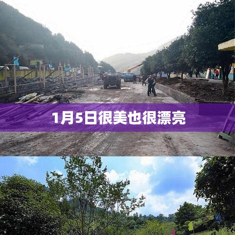 1月5日的美景如画，美不胜收