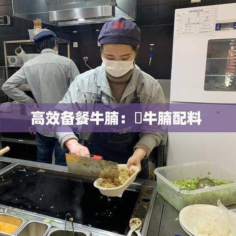 高效备餐牛腩：炇牛腩配料 