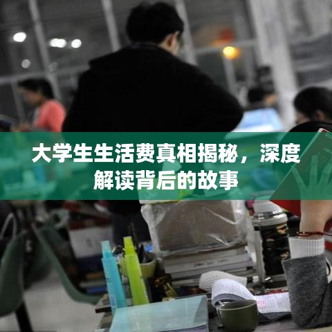 大学生生活费真相揭秘，深度解读背后的故事