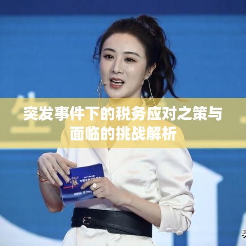 突发事件下的税务应对之策与面临的挑战解析
