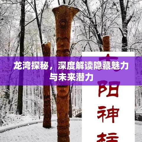 龙湾探秘，深度解读隐藏魅力与未来潜力