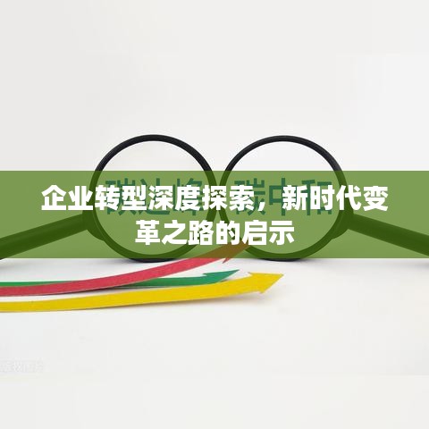 企业转型深度探索，新时代变革之路的启示