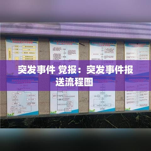 突发事件 党报：突发事件报送流程图 