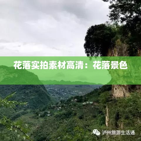 花落实拍素材高清：花落景色 