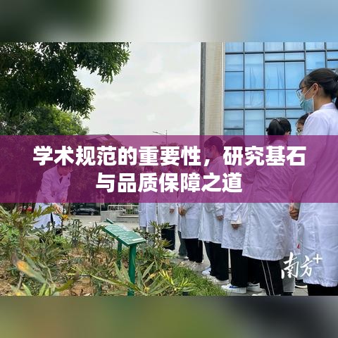 学术规范的重要性，研究基石与品质保障之道