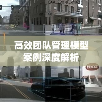 高效团队管理模型案例深度解析