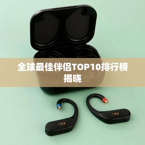 全球最佳伴侣TOP10排行榜揭晓