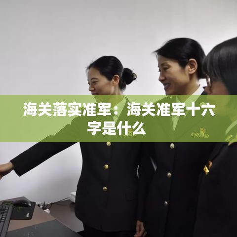 海关落实准军：海关准军十六字是什么 