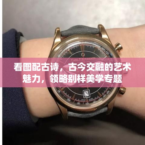 看图配古诗，古今交融的艺术魅力，领略别样美学专题