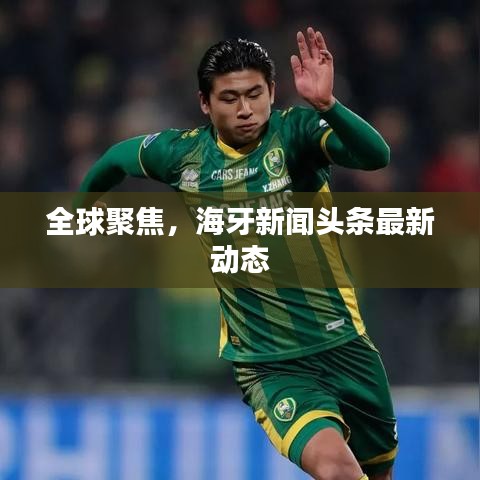 全球聚焦，海牙新闻头条最新动态