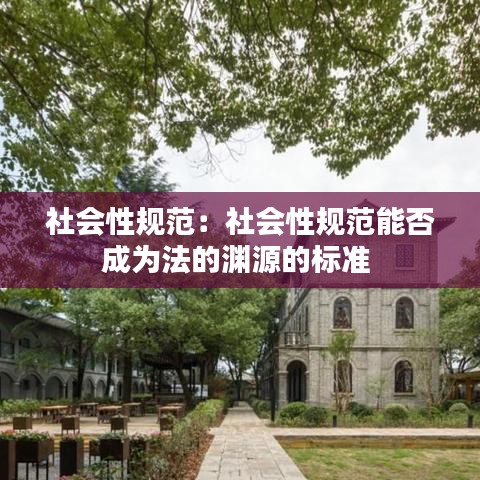 社会性规范：社会性规范能否成为法的渊源的标准 