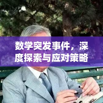 数学突发事件，深度探索与应对策略
