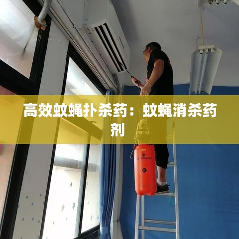 高效蚊蝇扑杀药：蚊蝇消杀药剂 