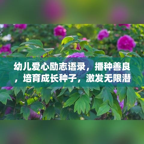 幼儿爱心励志语录，播种善良，培育成长种子，激发无限潜能！