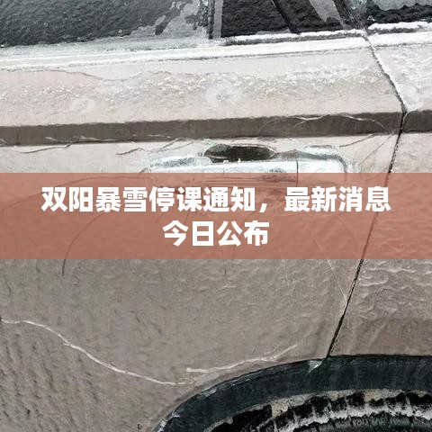 双阳暴雪停课通知，最新消息今日公布